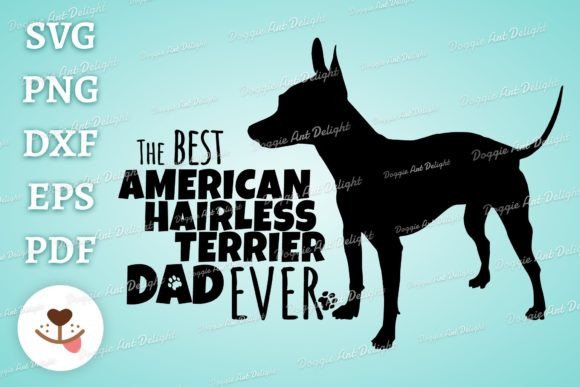 Best American Hairless Terrier Dog Dad