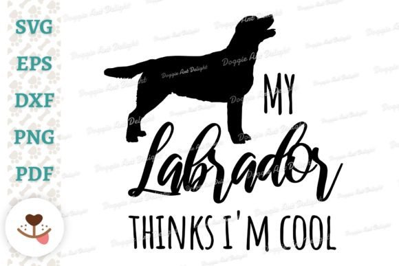 My Labrador Thinks I’m Cool