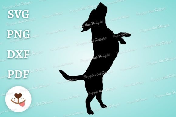 Playing Beagle Dog